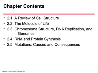 Copyright © 2009 Pearson Education, Inc.
Chapter Contents
• 2.1 A Review of Cell Structure
• 2.2 The Molecule of Life
• 2.3 Chromosome Structure, DNA Replication, and
Genomes
• 2.4 RNA and Protein Synthesis
• 2.5 Mutations: Causes and Consequences
 