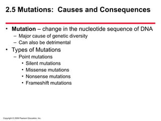 Copyright © 2009 Pearson Education, Inc.
2.5 Mutations: Causes and Consequences
• Mutation – change in the nucleotide sequence of DNA
– Major cause of genetic diversity
– Can also be detrimental
• Types of Mutations
– Point mutations
• Silent mutations
• Missense mutations
• Nonsense mutations
• Frameshift mutations
 