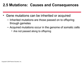 Copyright © 2009 Pearson Education, Inc.
2.5 Mutations: Causes and Consequences
• Gene mutations can be inherited or acquired
– Inherited mutations are those passed on to offspring
through gametes
– Acquired mutations occur in the genome of somatic cells
• Are not passed along to offspring
 