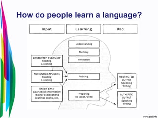 How do people learn a language?
 