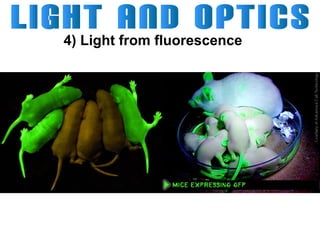 4) Light from fluorescence

 