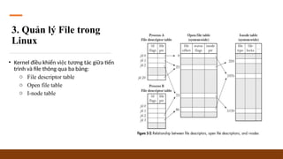 Linux-File-System(What is the File System in Linux).pptx