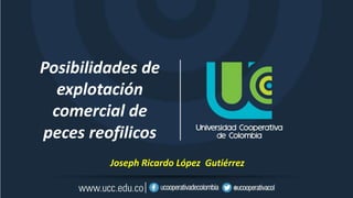 Posibilidades de
explotación
comercial de
peces reofilicos
Joseph Ricardo López Gutiérrez
 