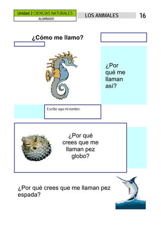Unidad 2 CIENCIAS NATURALES
LOS ANIMALESALUMNADO
1166
¿Cómo me llamo?
¿Por
qué me
llaman
así?
Escribe aquí mi nombre:
¿Por qué
crees que me
llaman pez
globo?
¿Por qué crees que me llaman pez
espada?
 