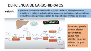 DEFICIENCIA DE CARBOHIDRATOS
cetosis:
La cetosis puede
causar efectos
secundarios
como mal
aliento, dolor de
cabeza, fatiga y
debilidad
• previene la acumulación de ácidos grasos oxidados incompletamente
• mantiene el balance redox hepático y provee a los órganos extrahepáticos
de sustratos energéticos en casos de disponibilidad limitada de glucosa
 