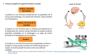  Hormonasencargadas de la regulación del hambrey la saciedad
La leptina es una hormona que se sintetiza principalmente en
el tejido graso de nuestro cuerpo (también se pueden producir
pequeñas cantidades en el estómago) y su lugar de acción
principal es el hipotálamo (en el cerebro).
Leptina: hormona de la
saciedad
La grelina es una hormona producida por las glándulas de la
mucosa del estómago y las células del intestino. Actúa también
en el hipotálamo.
Grelina : hormona
del hambre
Insulina
La insulina, es una hormona que tiene propiedades similares a
la leptina. Ya que puede controlar los niveles de glucosa en
sangre, la insulina puede funcionar como una señal de
saciedad.
Ochoa C, Muñoz MG. Hambre, apetito y saciedad. RCAN. 2014;24(2):268-279. Disponible en: https://www.medigraphic.com/pdfs/revcubalnut/can-
2014/can142k.pdf
 
