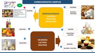 CARBOHIDRATOS SIMPLES
MONOSACÁRIDOS:
GLUCOSA
FRUCTOSA
GALACTOSA
DISACÁRIDOS:
SACAROSA
LACTOSA
MALTOSA
Glucemia en
ayunas: 70-125
mg/100ml suero o
plasma.
ATP
1
2
3
1
2
3
11
GLUCOSA
FRUCTOSA
GALACTOSA
SACAROSA
LACTOSA
MALTOSA
GLUCOSA +
FRUCTOSA
GALACTOSA +
GLUCOSA
GLUCOSA + GLUCOSA
 