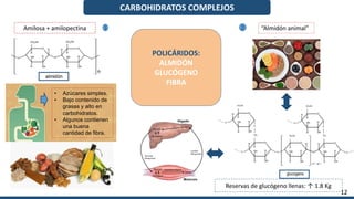 CARBOHIDRATOS COMPLEJOS
POLICÁRIDOS:
ALMIDÓN
GLUCÓGENO
FIBRA
Amilosa + amilopectina “Almidón animal”
1 2
12
• Azúcares simples.
• Bajo contenido de
grasas y alto en
carbohidratos.
• Algunos contienen
una buena
cantidad de fibra.
Reservas de glucógeno llenas: ↑ 1.8 Kg
 