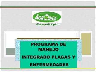 El Apoyo Biológico
PROGRAMA DE
MANEJO
INTEGRADO PLAGAS Y
ENFERMEDADES
 