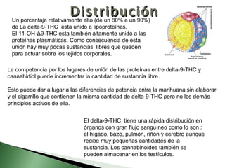 La competencia por los lugares de unión de las proteínas entre delta-9-THC y cannabidiol puede incrementar la cantidad de sustancia libre. Esto puede dar a lugar a las diferencias de potencia entre la marihuana sin elaborar y el cigarrillo que contienen la misma cantidad de delta-9-THC pero no los demás principios activos de ella. Distribución El delta-9-THC  tiene una rápida distribución en órganos con gran flujo sanguíneo como lo son : el hígado, bazo, pulmón, riñón y cerebro aunque recibe muy pequeñas cantidades de la sustancia. Los cannabinoides también se pueden almacenar en los testículos. Un porcentaje relativamente alto (de un 80% a un 90%) de La delta-9-THC  esta unido a lipoproteínas. El 11-OH- Δ9- THC esta también altamente unido a las proteínas plasmáticas. Como consecuencia de esta unión hay muy pocas sustancias  libres que queden para actuar sobre los tejidos corporales. 