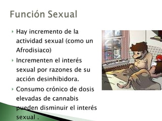 Hay i ncremento de la actividad sexual (como un Afrodisiaco) Incrementen el interés sexual por razones de su acción desinhibidora. Consumo crónico de dosis elevadas de cannabis pueden disminuir el interés sexual . 