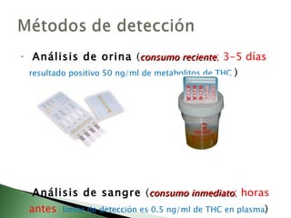 Análisis de orina  ( consumo reciente ; 3-5 días  resultado positivo 50 ng/ml de metabolitos de THC  ) Análisis de sangre  ( consumo inmediato ; horas antes  límite de detección es 0.5 ng/ml de THC en plasma ) 