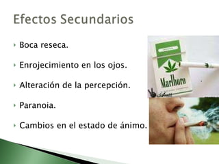 Boca reseca. Enrojecimiento en los ojos. Alteración de la percepción. Paranoia. Cambios en el estado de ánimo. 