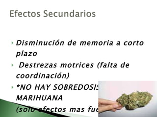 Disminución de memoria a corto plazo Destrezas motrices (falta de coordinación) *NO HAY SOBREDOSIS DE MARIHUANA (solo efectos mas fuertes) 