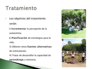 Los objetivos del tratamiento serán: 1 )   Incrementar  la percepción de la autoestima. 2)  Planificación  de estrategias para la vida. 3) Obtener otras  fuentes alternativas  de estimulación.  4) Tratar de desarrollar la capacidad de  aprendizaje  y memoria. 
