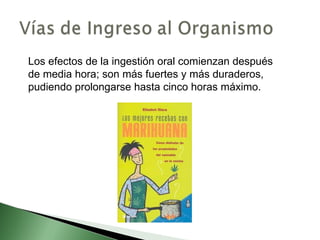 Los efectos de la ingestión oral comienzan después de media hora; son más fuertes y más duraderos, pudiendo prolongarse hasta cinco horas máximo. 