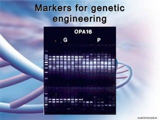 Markers for genetic
   engineering




                      ALBIO9700/2006JK
 