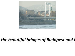 The fascinating coincidences between the beautiful bridges of Budapest and the history of our beautiful profession  