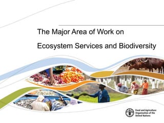 The Major Area of Work on
Ecosystem Services and Biodiversity
 