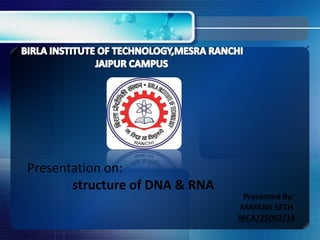 Presentation on:
structure of DNA & RNA
Presented By:
MAYANK SETH
MCA/25002/18
 