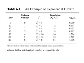 cells are dividing and doubling in number at regular intervals
 