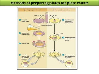 Methods of preparing plates for plate counts
 