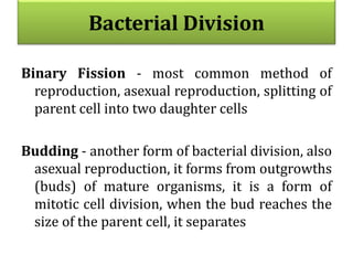 Bacterial Division
Binary Fission - most common method of
reproduction, asexual reproduction, splitting of
parent cell into two daughter cells
Budding - another form of bacterial division, also
asexual reproduction, it forms from outgrowths
(buds) of mature organisms, it is a form of
mitotic cell division, when the bud reaches the
size of the parent cell, it separates
 