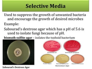 Selective Media
Used to suppress the growth of unwanted bacteria
and encourage the growth of desired microbes
Example:
Sabourad’s dextrose agar which has a pH of 5.6 is
used to isolate fungi because of pH.
bismuth sulfite agar – isolates the typhoid bacterium
Sabourad’s Dextrose Agar
 