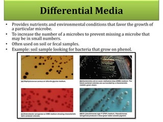 Differential Media
• Provides nutrients and environmental conditions that favor the growth of
a particular microbe.
• To increase the number of a microbes to prevent missing a microbe that
may be in small numbers.
• Often used on soil or fecal samples.
• Example: soil sample looking for bacteria that grow on phenol.
 
