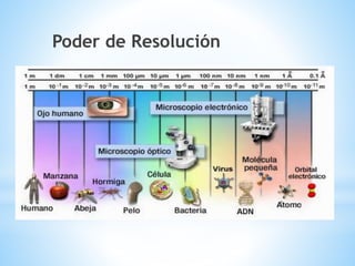 Poder de Resolución