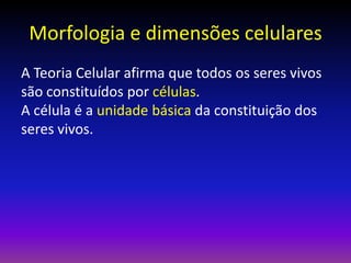 Morfologia e dimensões celulares
A Teoria Celular afirma que todos os seres vivos
são constituídos por células.
A célula é a unidade básica da constituição dos
seres vivos.
 
