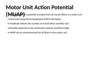 Motor Unit the basis of Electrotherapy modalities | PPTX