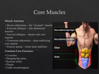 Core Muscles Chart The Comprehensive Muscle Anatomy for Bodybuilding | PPTX