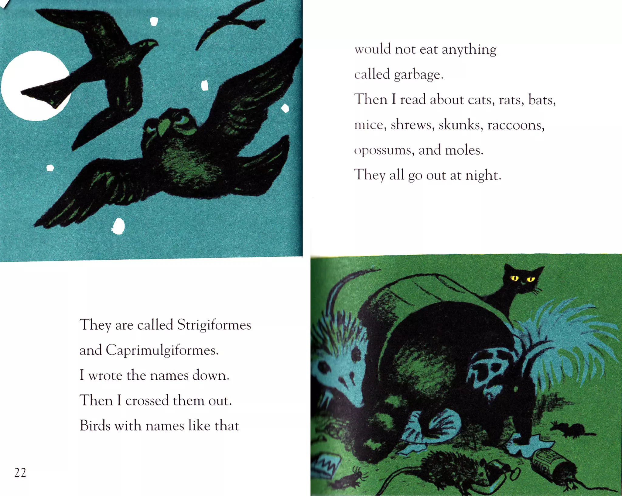 Nate The Great goes undercover