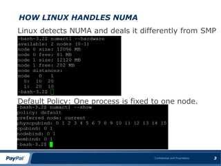 NUMA and scaleup | PPT