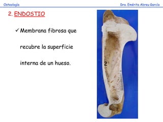 Dra. Emérita Abreu GarcíaOsteología
2. ENDOSTIO
Membrana fibrosa que
recubre la superficie
interna de un hueso. 2
 