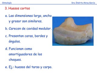 Dra. Emérita Abreu GarcíaOsteología
3. Huesos cortos
a. Las dimensiones largo, ancho
y grosor son similares.
b. Carecen de cavidad medular.
c. Presentan caras, bordes y
ángulos.
d. Funcionan como
amortiguadores de los
choques.
e. Ej.: huesos del tarso y carpo.
 