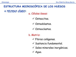 Dra. Emérita Abreu GarcíaOsteología
ESTRUCTURA MICROSCÓPICA DE LOS HUESOS
TEJIDO ÓSEO:
a. Células óseas:
Osteocitos.
Osteoblastos.
Osteoclastos.
b. Matriz:
Fibras colágenas.
Sustancia fundamental.
Sales minerales inorgánicas.
Agua.
 