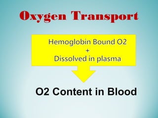 Oxygen Transport
O2 Content in Blood
 