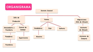 ORGANIGRAMA
 