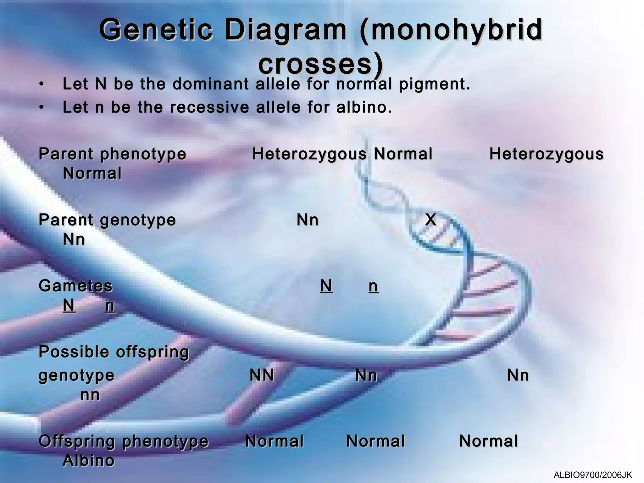 Genetic Diagram (monohybrid
                  crosses)
•   Let N be the dominant allele for normal pigment.
•   Let n be the recessive allele for albino.

Parent phenotype          Heterozygous Normal           Heterozygous
  Normal

Parent genotype                Nn                X
  Nn

Gametes                             N     n
  N   n

Possible offspring
genotype                 NN             Nn               Nn
    nn

Offspring phenotype      Normal         Normal       Normal
   Albino
                                                              ALBIO9700/2006JK
 