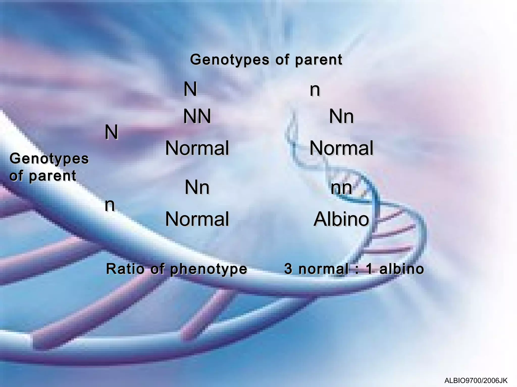 Genotypes of parent

                     N              n
                     NN                 Nn
            N
Genotypes
                   Normal           Normal
of parent
                     Nn                 nn
            n
                   Normal            Albino

            Ratio of phenotype   3 normal : 1 albino




                                                       ALBIO9700/2006JK
 
