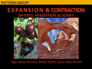 PATTERN GROUP:

   E X PA N S I O N & CONTRACTION
          SPHERES, HEMISPHERE & DOMES




     Eggs, Nests, Cherries, Arches, Seeds, Caves, Cells, Planets
 