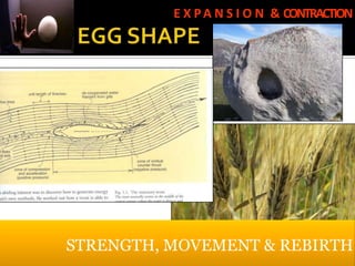 E X P A N S I O N & CONTRACTION




STRENGTH, MOVEMENT & REBIRTH
 