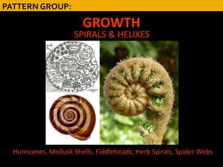PATTERN GROUP:

                        GROWTH
                      SPIRALS & HELIXES




  Hurricanes, Mollusk Shells, Fiddleheads, Herb Spirals, Spider Webs
 