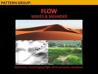 PATTERN GROUP:

                            FLOW
                    WAVES & MEANDER




      Sand Dunes, Hummingbird Flight, Berms & Swales, Heartbeats
 
