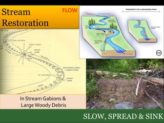 FLOW




In Stream Gabions &
 Large Woody Debris

                        SLOW, SPREAD & SINK
 