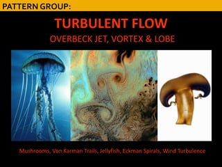 PATTERN GROUP:

                TURBULENT FLOW
              OVERBECK JET, VORTEX & LOBE




   Mushrooms, Von Karman Trails, Jellyfish, Eckman Spirals, Wind Turbulence
 