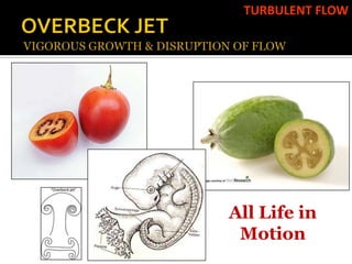 TURBULENT FLOW




All Life in
 Motion
 
