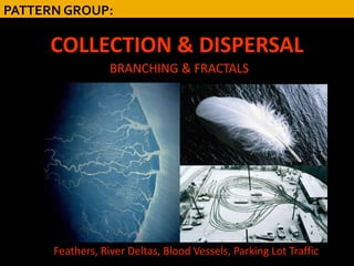 PATTERN GROUP:

     COLLECTION & DISPERSAL
                  BRANCHING & FRACTALS




      Feathers, River Deltas, Blood Vessels, Parking Lot Traffic
 